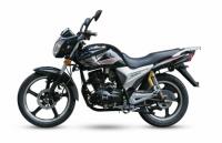 Wels Gold Sport…
