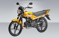 STELS ДЕСНА 125…