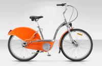 STELS Navigator…