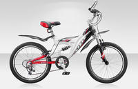 STELS Pilot 250
