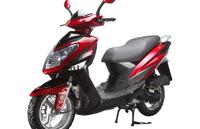 Racer Taurus RC50QT-15J
